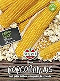 Foto Maissamen - Mais (Popcornmais) Nana von Sperli-Samen, bester Preis 4,97 €, Bestseller 2024