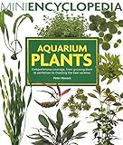 Photo Aquarium Plants: Comprehensive coverage, from growing them to perfection to choosing the best varieties. (Mini Encyclopedia Series), best price $12.57, bestseller 2024
