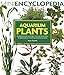Aquarium Plants: Comprehensive coverage, from growing them to perfection to choosing the best varieties. (Mini Encyclopedia Series) new 2024