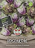 Foto Kohlsamen - Rosenkohl Flower Sprout Autumn Star von Sperli-Samen, bester Preis 7,48 €, Bestseller 2024
