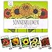 Semillas de girasol de colores con alta tasa de germinación - semillas de flores para un colorido y amigable jardín de abejas (set de 5) nuevo 2024