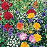 Photo Roll Out Flower Seeded Mats That Attract Butterflies - Set of 2, Butterfly, best price $16.98 ($8.49 / Count), bestseller 2024