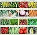 Set of 16 Assorted Organic Vegetable Seeds & Herb Seeds 16 Varieties Create a Deluxe Garden All Seeds are Heirloom, 100% Non-GMO Sweet Pepper Seeds, Hot Pepper Seeds-Red Onion Seeds- Green Onion Seeds new 2024