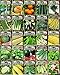 Set of 25 Premium Vegetable & Herb Seeds - 25 Deluxe Variety Premium Vegetable & Herb Garden 100% Non-GMO Heirloom new 2024