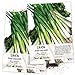 Seed Needs, Tokyo Long White Onion (Allium fistulosum) Twin Pack of 850 Seeds Each Non-GMO new 2024