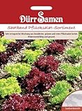 Foto Dürr Samen 1214 Pflücksalat Sortiment Saatband (Pflücksalatsamen), bester Preis 4,17 €, Bestseller 2024