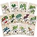 Heirloom Vegetable Seeds Kit 13 Pack – 100% Non GMO for Planting in Your Indoor or Outdoor Garden: Tomato, Peppers, Zucchini, Broccoli, Beet, Bean, Carrot, Kale, Cucumber, Pea, Radish, Lettuce new 2024