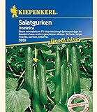 Foto Kiepenkerl Salatgurken 'Dominica',1 Portion, bester Preis 4,49 €, Bestseller 2024