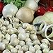 Onion Sets Red,Yellow,White or Mix 40-70 bulbs) Garden Vegetable- Choose a color(Yellow) new 2024