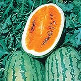 Photo Burpee Orange Tendersweet Watermelon Seeds 60 seeds, best price $7.19, bestseller 2024