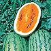 Burpee Orange Tendersweet Watermelon Seeds 60 seeds new 2024