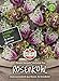 81180 Sperli Premium Rosenkohl Samen Flower Sprouts | Neuheit | Mischung aus Rosenkohl und Grünkohl | Rosenkohl Saatgut | Kohl Samen neu 2024