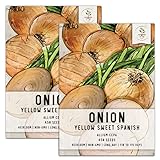 Photo Seed Needs, Yellow Sweet Spanish Onion Seeds for Planting (Allium cepa) Twin Pack of 450 Seeds Each Non-GMO, best price $8.85 ($4.42 / Count), bestseller 2024