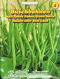 Foto Buschbohne Maxi GS (Portion), bester Preis 3,88 €, Bestseller 2024