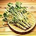 200pcs / lot Semillas wasabi, vegetal de semillas de rábano picante japonés para plantar fácil crecer Bonsai Plantas del jardín de DIY Plantas nuevo 2024