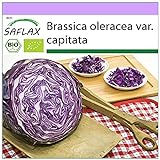 Foto SAFLAX - Ecológico - Col repollo - 250 semillas - Brassica oleracea, mejor precio 3,95 €, éxito de ventas 2024