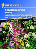 Foto Schattenblumen-Mischung, bester Preis 3,95 €, Bestseller 2024