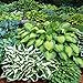 Mixed Heart-Shaped Hosta Bare Roots - Rich Green Foliage, Low Maintenance, Heart Shaped Leaves - 6 Roots new 2024