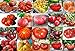 Mixed Seeds! 30 Giant Tomato Seeds, Mix of 19 Varieties, Heirloom Non-GMO, Brandywine Black, Red, Yellow & Pink, Mr. Stripey, Old German, Black Krim, from USA new 2024