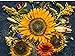 Sunflower Autumn 20K (CHK) Seeds Or 1 Pound new 2024