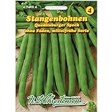 Foto Stangenbohnen 'Quedlinburger Speck' mittelfrüh, grün, ohne Fäden, bester Preis 2,29 €, Bestseller 2024