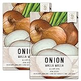 Photo Seed Needs, Walla Walla Onion Seeds for Planting (Allium cepa) Twin Pack of 450 Seeds Each Non-GMO Long Day, best price $8.85, bestseller 2024