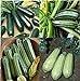 David's Garden Seeds Collection Set Zucchini 9835 (Green) 4 Varieties 100 Non-GMO, Open Pollinated Seeds new 2024