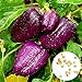 0 Pcs/sac de graines de poivre doux taux élevé de germination facile à faire pousser, facile à manipuler magnifiquement les graines de poivre de lanterne douce violette pour l'agriculture dom Gra nouveau 2024