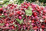Photo White, Pink, and Red 30-Day Radish Seed Mix – Traditional Crisp Spring Radish Varieties – Heirloom Seeds | Liliana's Garden |, best price $5.95, bestseller 2024