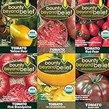 Photo Tomato Seeds /Heirloom Tomatoes, Open Pollinated Garden Seed - Black Krim, Cherokee Purple, Yellow Brandywine, Red Pear, and Yellow Pear, best price $9.99, bestseller 2024
