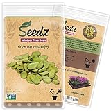 Photo Organic Bean Seeds, APPR. 30, Windsor Fava Bean, Heirloom Vegetable Seeds, Certified Organic, Non GMO, Non Hybrid, USA, best price $7.99, bestseller 2024