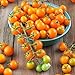 Sun Gold Hybrid Tomato Seeds (40 Seed Pack) new 2024