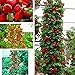 Semillas Ecológicas Minigarden 50 piezas semillas de fresa roja fruta casera decoración en maceta plantas trepadoras-1 # nuevo 2024