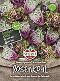 Foto Kohlsamen - Rosenkohl Flower Sprout Autumn Star von Sperli-Samen, bester Preis 7,49 €, Bestseller 2024