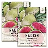 Photo Seed Needs, Watermelon Radish (Raphanus sativus) Twin Pack of 500 Seeds Each Non-GMO, best price $7.99, bestseller 2024