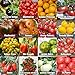 Set de graines de tomates PRADEMIR – 16 variétés de tomates - Graines 100% naturelles du Portugal - Variétés rares et anciennes à haut taux de germination. nouveau 2024