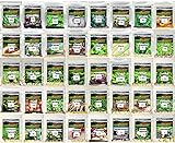 Photo Over 17,000 Seeds!! Set of 40 Vegetable, Herb & Melon Seeds Perfect for Planting Your Deluxe Home or Survival Garden Indoors/Outdoors. Heirloom-100% Non-GMO, Non-Hybrid! USA Packaged. by B&KM Farms., best price $33.99 ($0.00 / Count), bestseller 2024