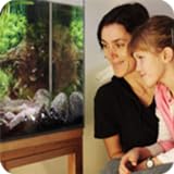 Photo Aquarium and Fish Care Tactics, best price $1.34, bestseller 2024