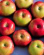 Jablka druhy Rozhdestvenskoe fotografie a charakteristiky