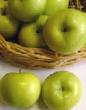Ябълки сортове Лебединая песня (Любава) снимка и характеристики