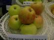 Μήλα  Uralskoe rozovoe ποικιλία φωτογραφία