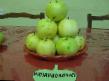 Jabuke razredi (sorte) Sverdlovchanin Foto i karakteristike