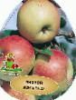 Manzanas variedades Konfetnoe Foto y características