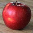Jabłka gatunki Fejjmus zdjęcie i charakterystyka