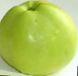 Jabolka sort Dachnoe fotografija in značilnosti