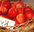 Jabuke razredi (sorte) Kuznecovskoe Foto i karakteristike
