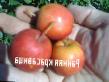 des pommes  Rannyaya krasavica l'espèce Photo