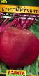 Цвекла разреди (сорте) Красный рубин фотографија и карактеристике