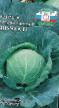 Cabbage varieties Vnuchka F1 Photo and characteristics