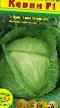 Cabbage varieties Kevin F1 Photo and characteristics
